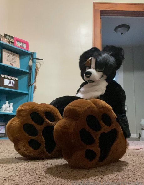 ccpinkk adult star picture