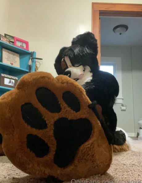 ccpinkk top model image