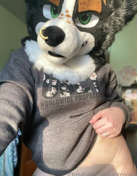 ccpinkk adult actress img