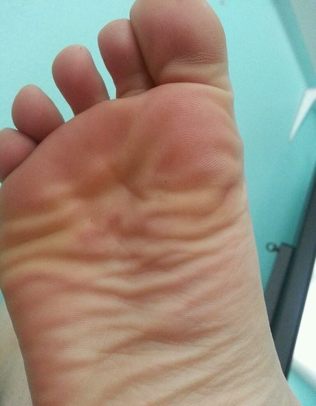 Ashley Soles nice pornstar photo