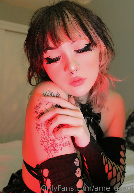 ame usagi model top image