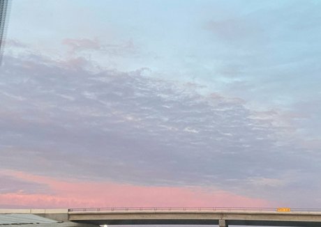 stellarstella pornstar hd archive