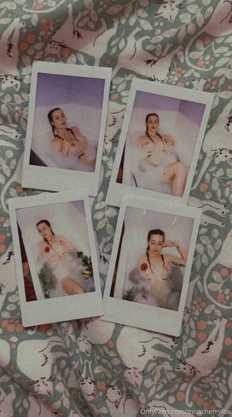 misscherryfox model hot gallery