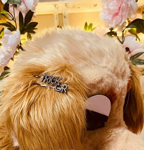 sinner shimmer model hd photos