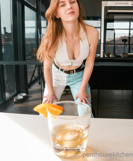 penthousekitchen hd model galleries