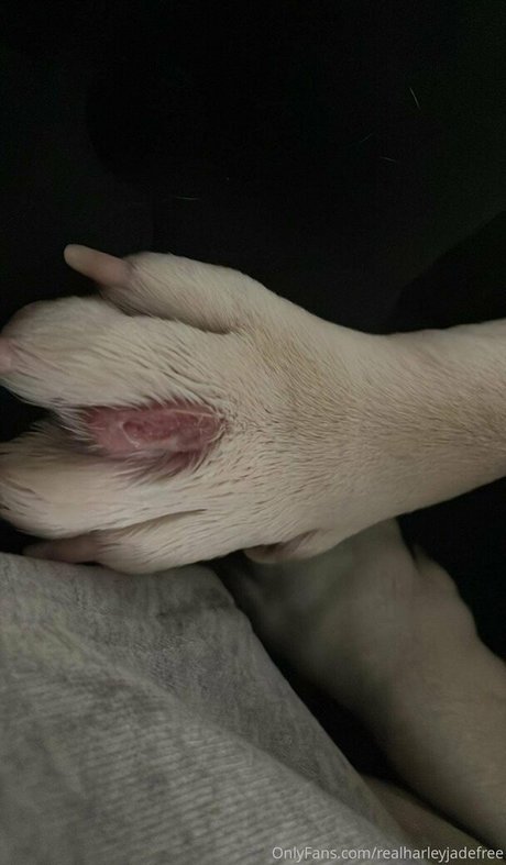 realharleyjadefree star exclusive pic