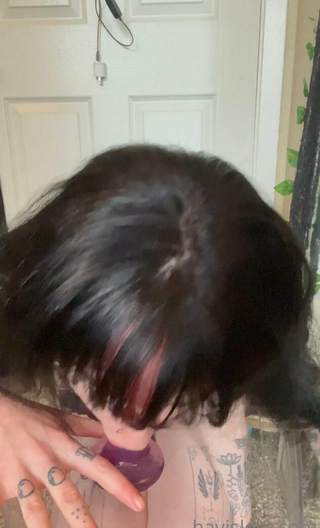 hayislost free nice star photos