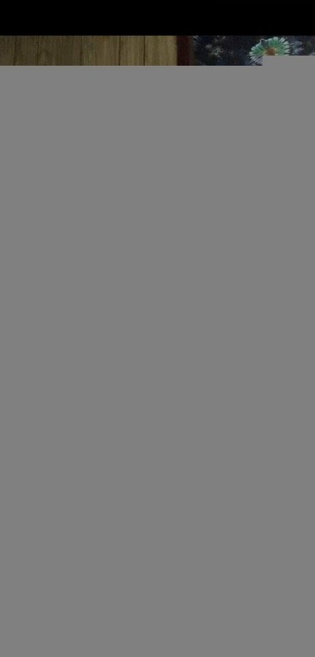 curvycamilafree Profile pic