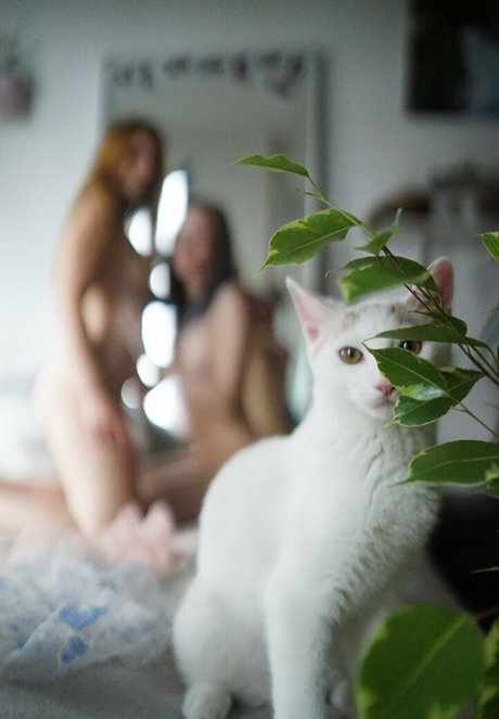 miamoar pornstar sex photo