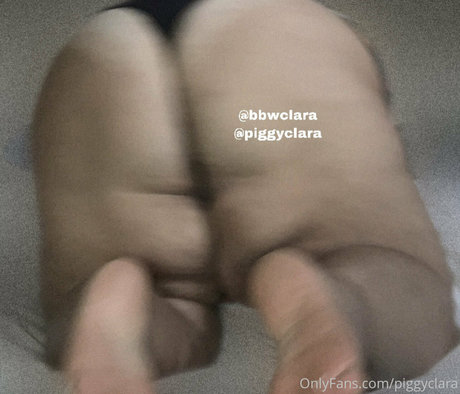 piggyclara model art images