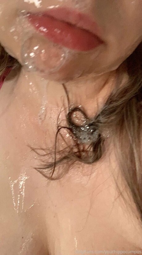 yourhippocumpus pretty star images