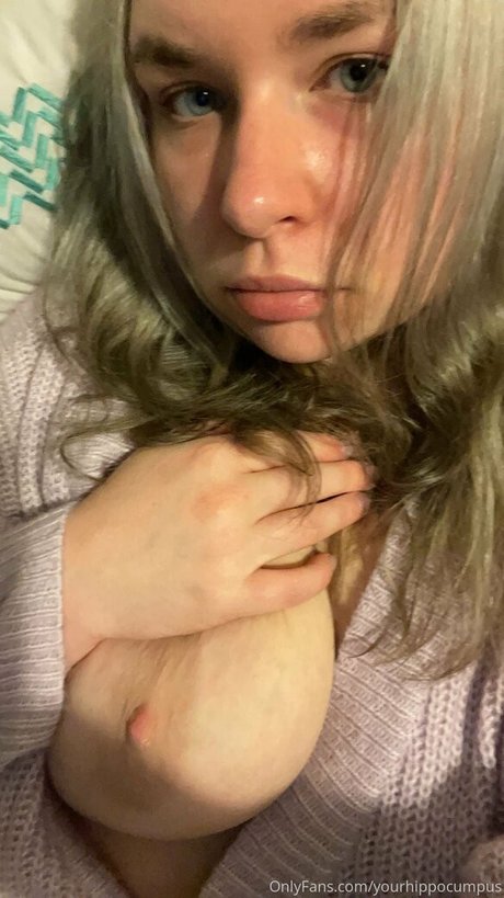 yourhippocumpus hd star picture