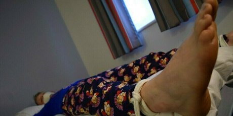 sachabound star beautiful pics