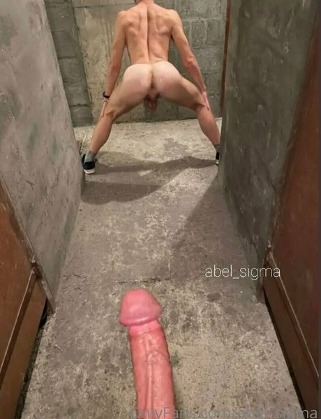 abel sigma star xxx galleries