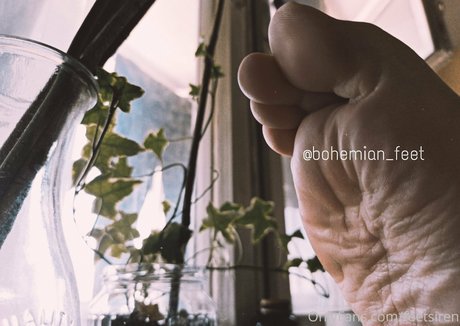 siren goddess pornstar high quality galleries