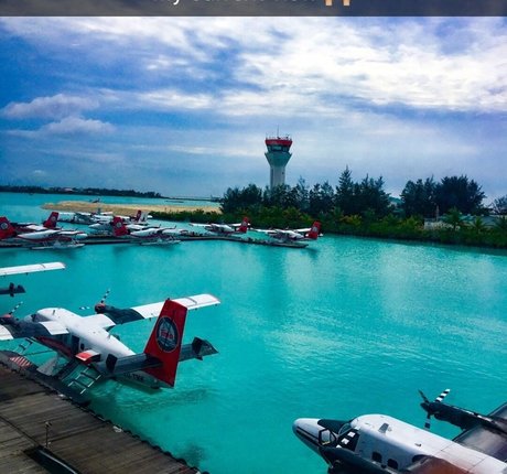 jaydencole hd actress pic