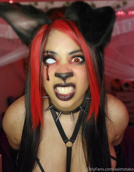 aaimztako star art galleries