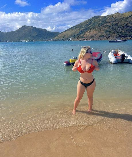 Harley Steins free star pic