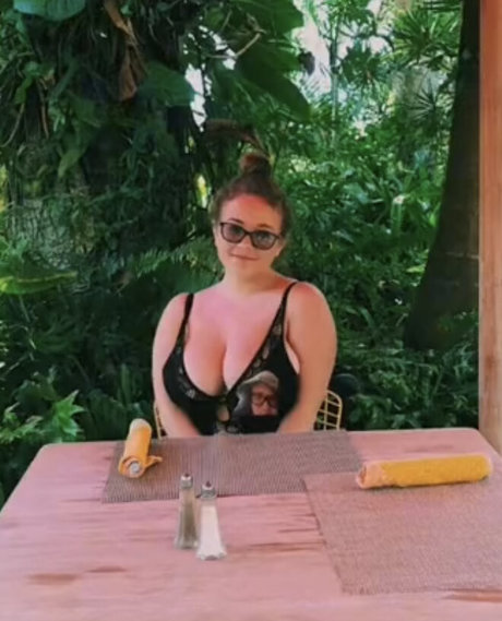 Harley Steins star adult img