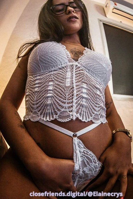 ElaineCrys model best archive