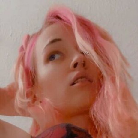 Arin Squirrel98 best model archive