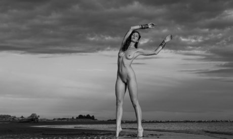 Taryn Terrell star sex archive