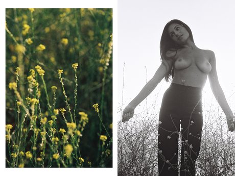 Alyssa Lynch adult star pictures