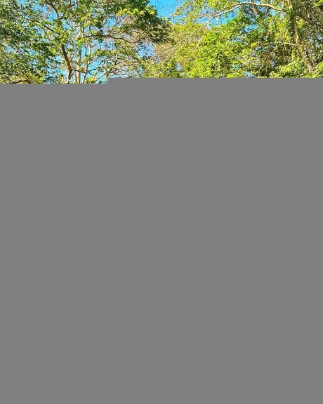 Stacy Londyn perfect pornstar img