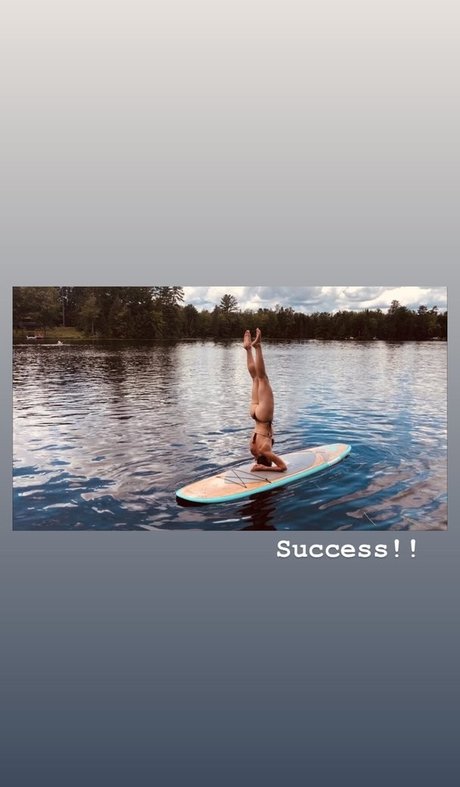 Shantel VanSanten star porn pic