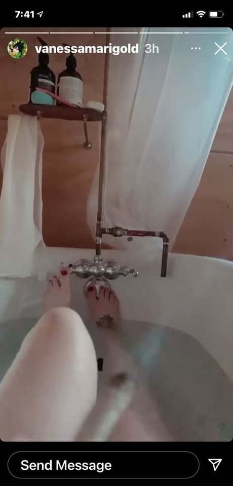 Vanessa Dora Lavorato pretty star gallery