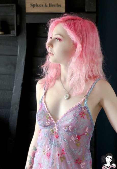 birdie nice model img