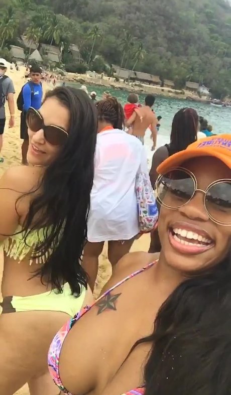 Dominique Chinn high quality model archive