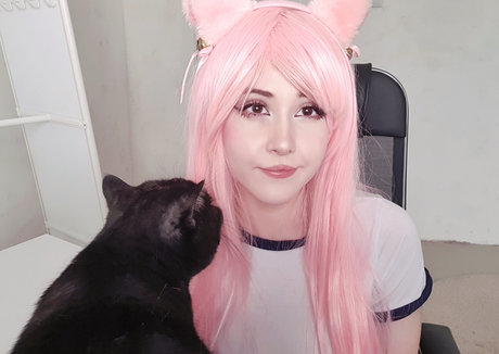 Morphia best model img