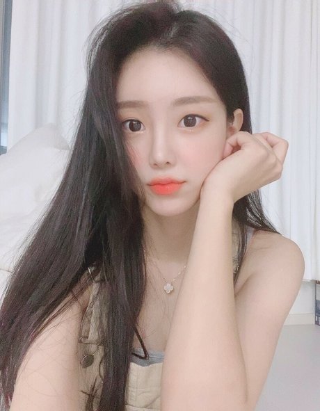 tamimi free star gallery