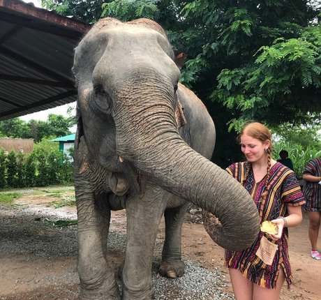 Sammy Jerrard pornographic actress img