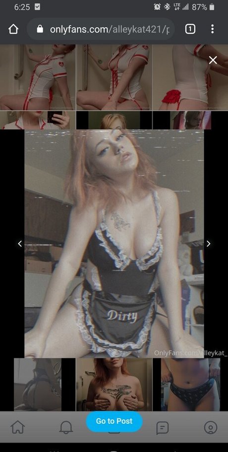 Alleykat421 model hot img