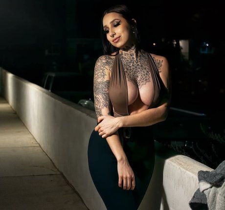 liittle brii high quality model archive