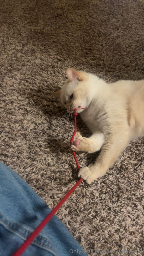 Lazyydaisy69 pornstar best images