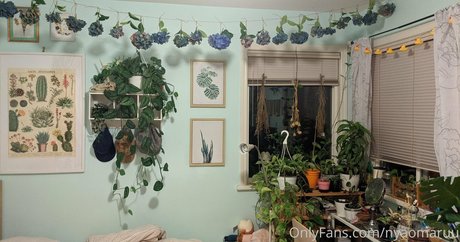 nyaomaruu star top img