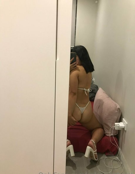 salamiontoast star top pics