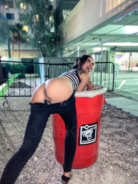 Dana Rabe pornstar naked pic