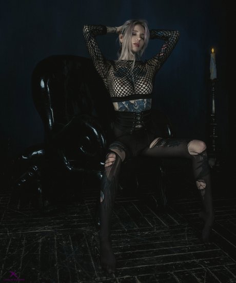 Real Red Fox high quality model photos