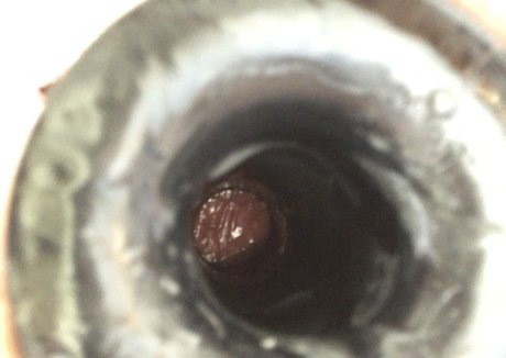 theabigailmae porn model picture