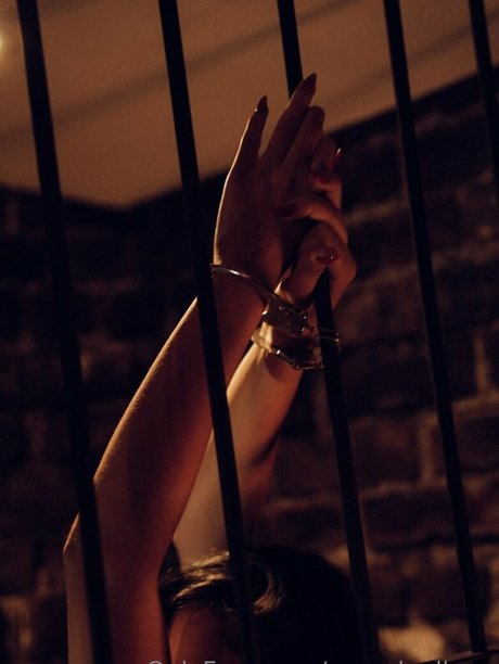 Yeral Gallego best model archive