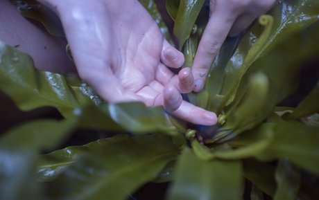 Kat Malone pornographic model photo