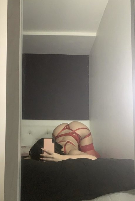 tiahneesolar model art img