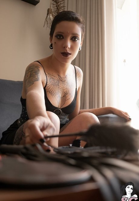 Amanda Novaes pornographic actress archive