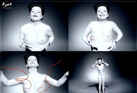 Bjork model top image