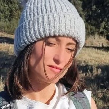 Andra blc 65 art star gallery