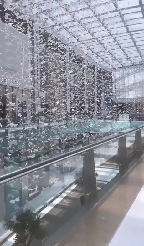 Tiona Fernan beautiful star photos